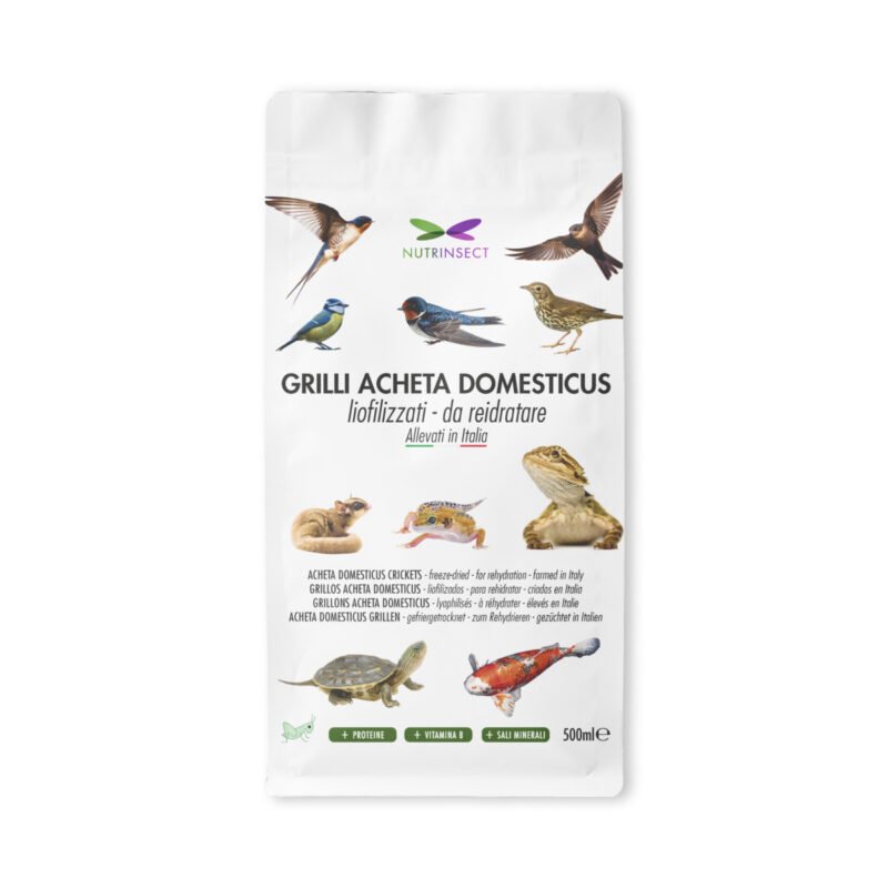 Grilli Acheta Domesticus - Liofilizzati da reidratare