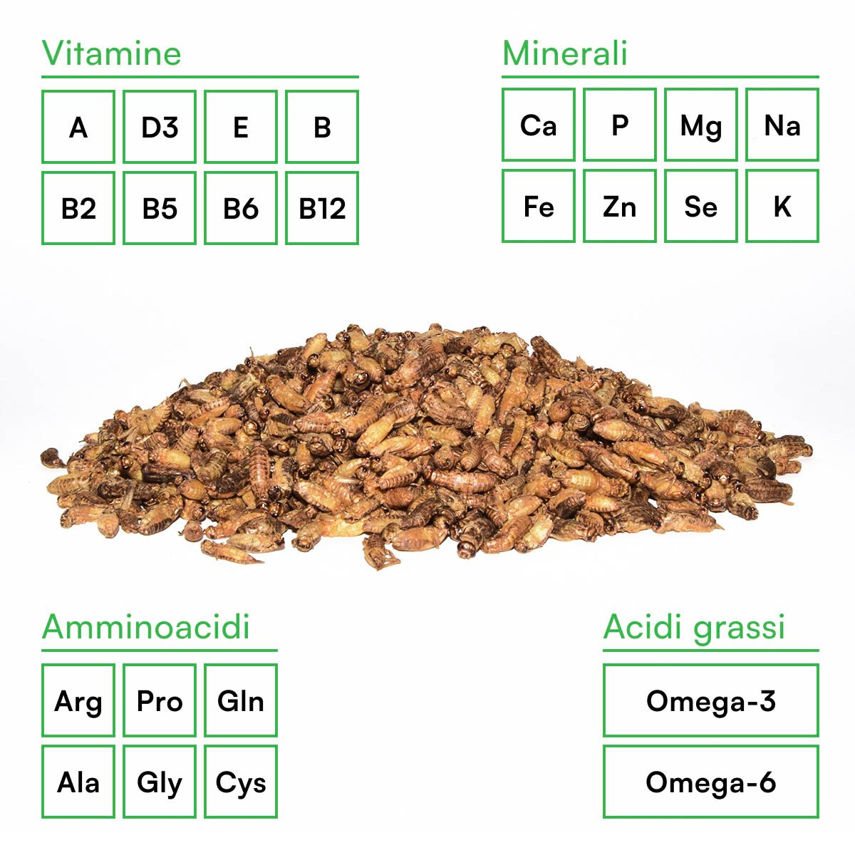 Medium Tarta cricket (30 gr) - immagine 5